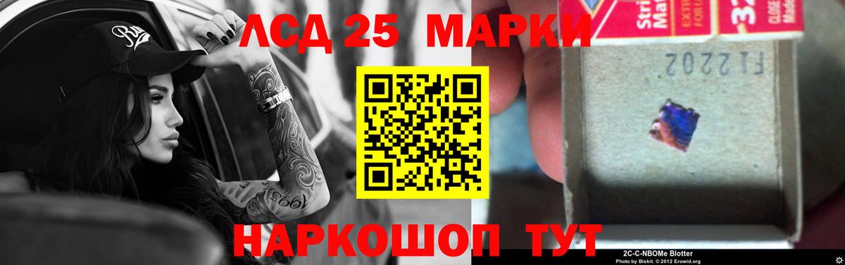 Бошки Шишки Кострома