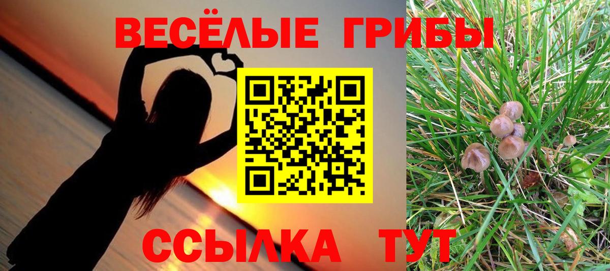 Галлюциногенные грибы Psilocybine cubensis  Вход с VPN  Кострома  Псилоцибиновые грибы GOLDEN TEACHER 