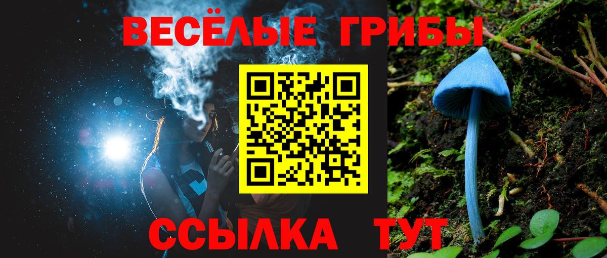 Галлюциногенные грибы GOLDEN TEACHER Кострома